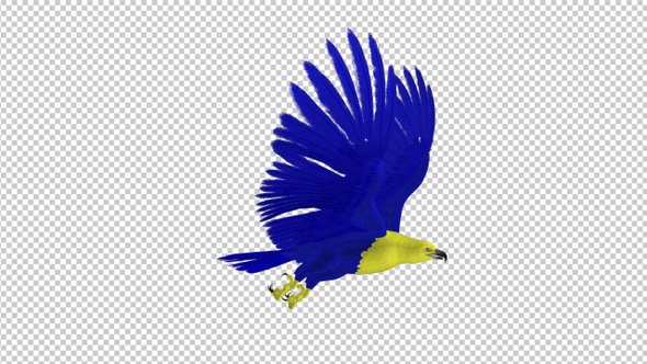 Ukraine Eagle - Flying Transition - VI - 4K - Alpha Channel alt