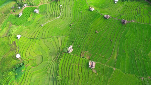 Aerial drone footage of rice terraces and farmer village at Pa pong piang