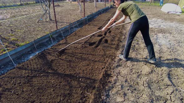 Woman Farmer Raking Garden Cultivating Field at Spring Prepare Soil