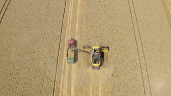 Top down view of Harvester machine working in wheat field 