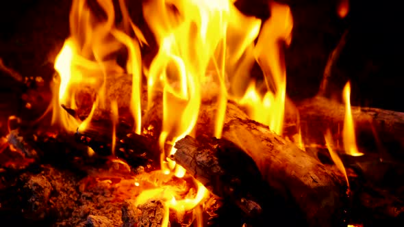 Fire burning trees at night. Bonfire burning brightly, heat, light at camping. bonfire close up