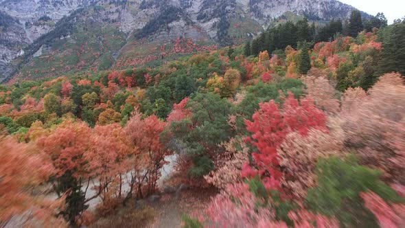 Aerial view of Fall color on landscape of foliage.