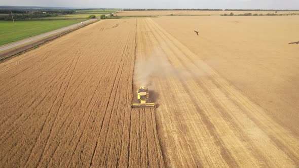 Aerial View of Harvester Machines Working in Wheat Field