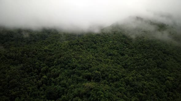 Logistic concept aerial view of countryside road passing through the serene lush greenery and foliag