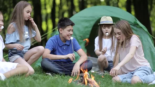 Family picnic in nature. Children with their mother fry marshmallows on skewers