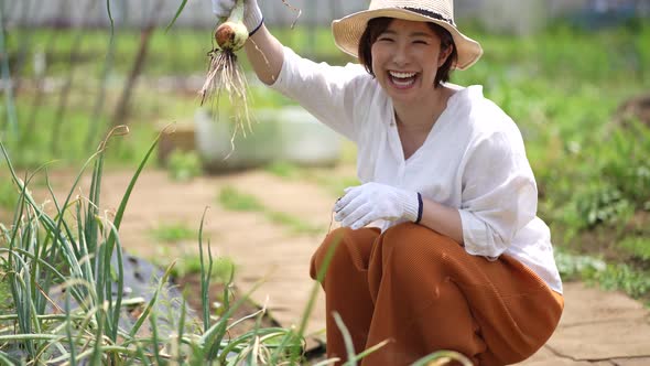 woman harvesting onions