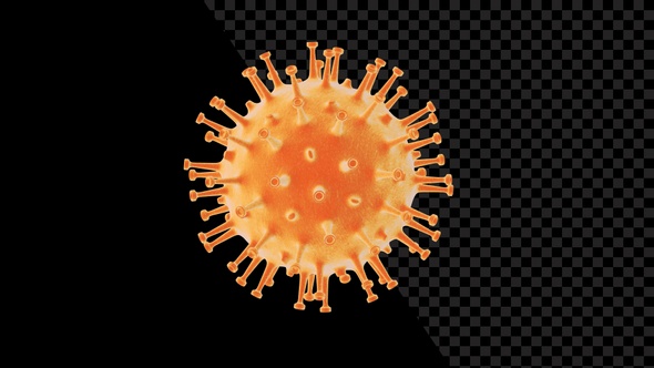 Coronavirus Visualization Covid 19 V11 alt