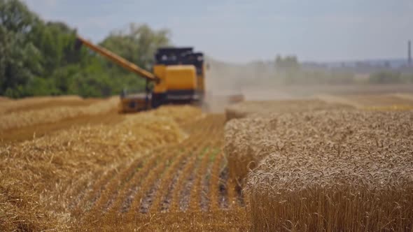 Agriculture machine harvesting crop in fields,