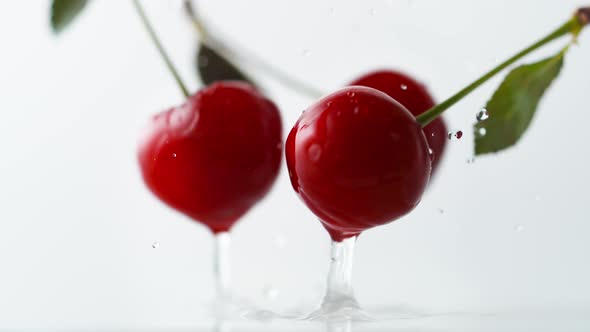 Cherries falling on water surface. Slow Motion. alt