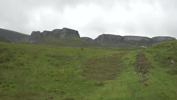 Green fields and mountains