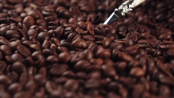 Roasted coffee beans are stirred with a spoon