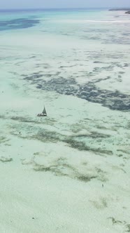 Tanzania  Vertical Video of Low Tide in the Ocean Near the Coast of Zanzibar Slow Motion