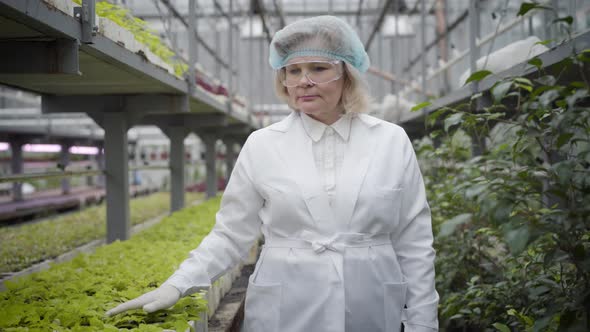 Front View of Senior Caucasian Woman in Protective Workwear Walking Along Rows of Plants in
