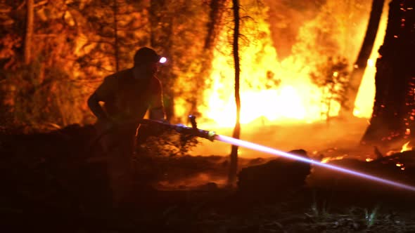 Extinguish a Forest Fire