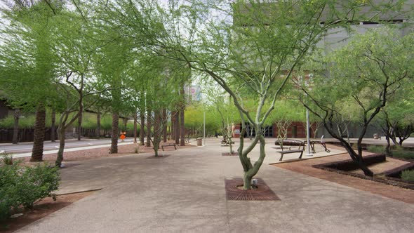 Square with green trees