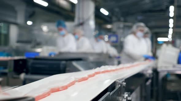 Conveyor Belt with Packed Crab Sticks Moving Along It