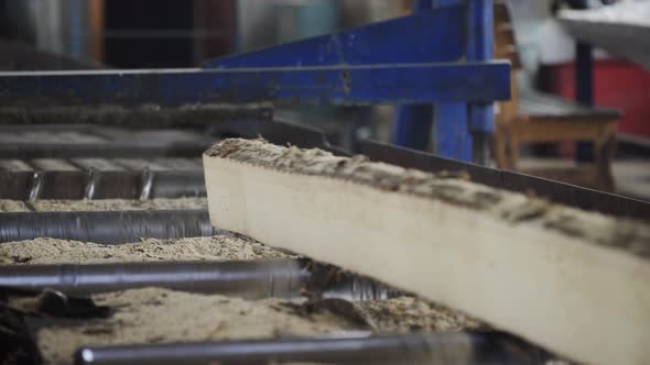 Worker Sorting Boards After Cutting. Sawmill. Manufacturing. Outdated Sawmill Machine for Process of