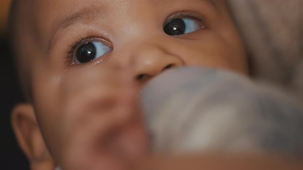 Adorable Dark Skin Multiracial Baby Drinking His Formula Milk From the Bottle in the Hands of His