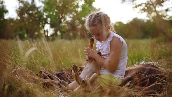 Young Pretty Girl Stroking Playing Walking with Puppy in Park at Sunset