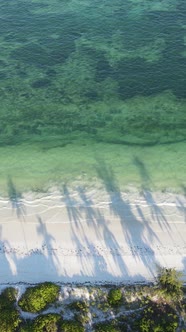 Vertical Video of the Ocean Near the Coast of Zanzibar Tanzania