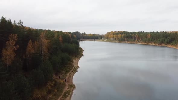 Aerial drone view of a colourful autumn forest next to a calm lake on an overcast day. Recorded in D