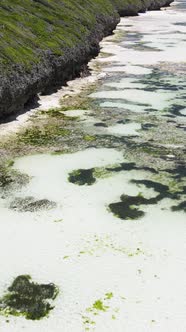 Vertical Video of Low Tide in the Ocean Near the Coast of Zanzibar Tanzania