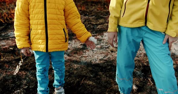 The little sisters dressed in the colors of the Ukrainian flag holding hands, on a background