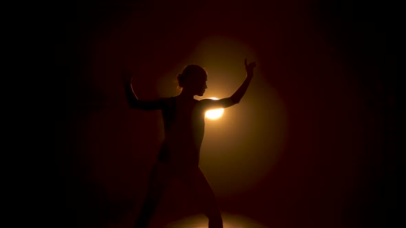 Silhouette a Graceful Ballerina Dancer Performing Dancing Elements of Classical Ballet in Black
