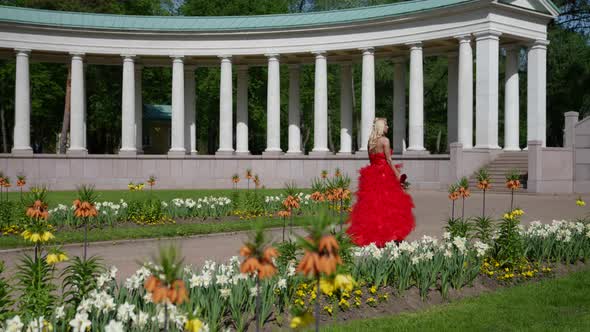 a Blonde in a Red Fluffy Dress and with a Rose is Walking Against the Background of Park Buildings