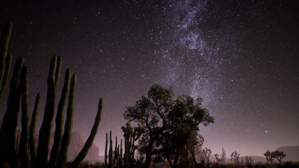 The Milky Way Above the Utah Desert, USA