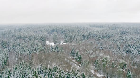 Panning drone shot of a flight over a snow covered and partial green conifer forest with a bright sk