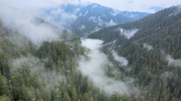 Fog in the Mountains. Aerial View of the Carpathian Mountains in Autumn. Ukraine