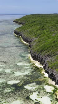 Zanzibar Tanzania  Ocean Shore Covered with Green Thickets Vertical Video