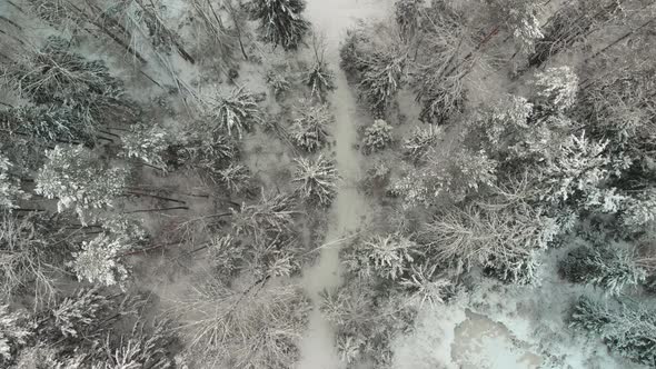 Aerial Trail in Winter Snowcovered Forest