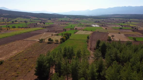 Scenic Aerial View of Mountain Valley with Agricultural Fields and Forest