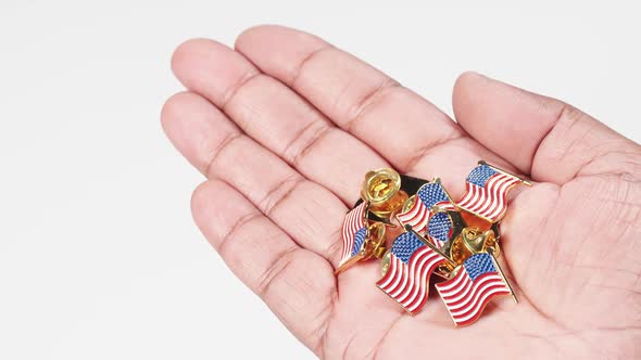 Palm Holds American Flag Pins 