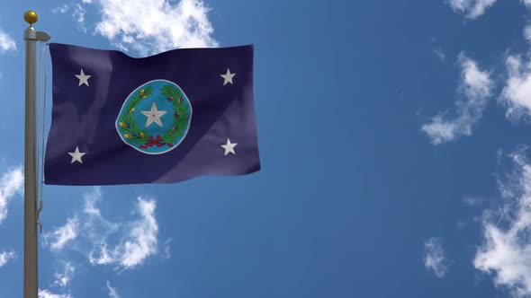 Governor Of Texas Flag (Usa) On Flagpole
