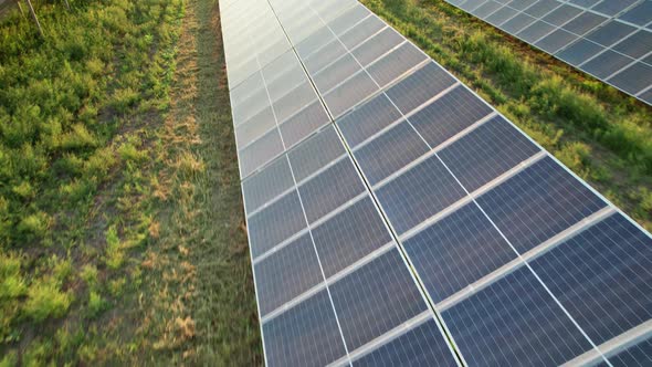 Aerial View Solar Power Station on Green Field at Sunset Solar Panels in Row