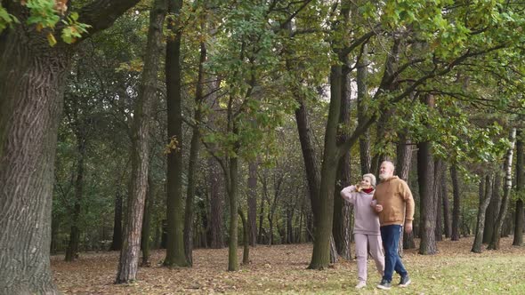 Elderly Couple on a Walk in a Forest Park, Autumn Day, Gray-haired Man and Woman Walking in a City