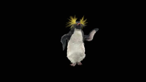 Penguin Dancing HD