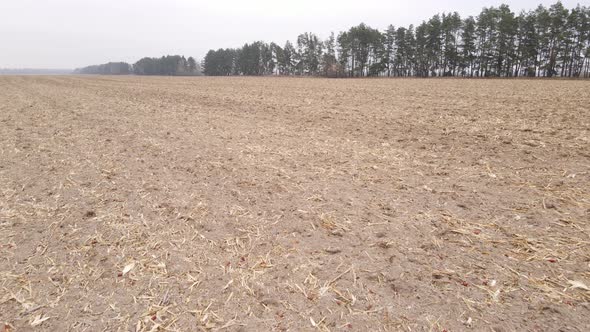 Land in a Plowed Field in Autumn