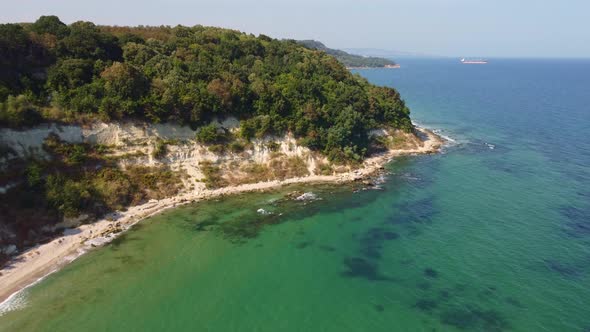 Aerial View of a Beautiful Beach with a Forest and Rocks