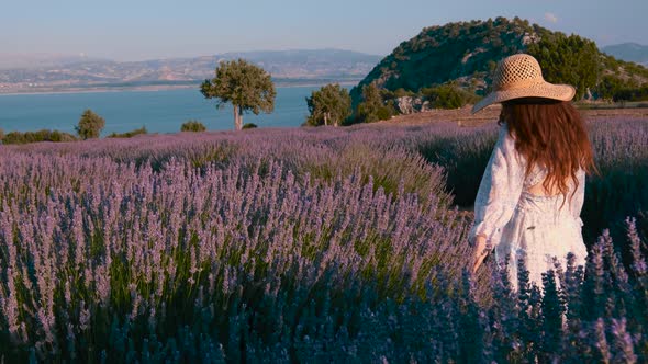 Young Girl Walks Among Lavender