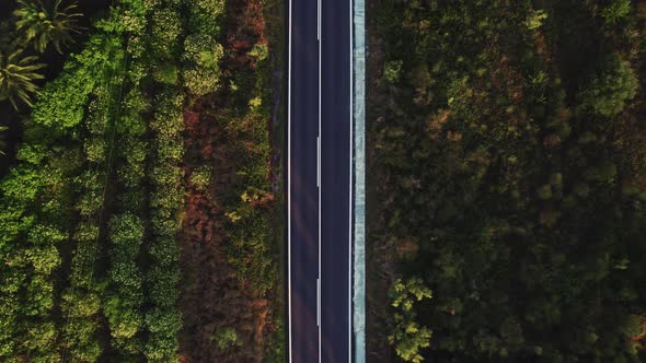 Empty Asphalt Road Going Through the Wild Nature Green Hills with Tropical Trees and Plants