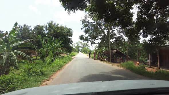 African Forests with Palms and Green Vegetation View From Driving Car Zanzibar