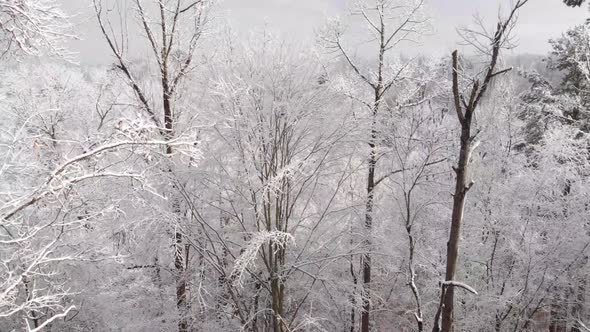 Aerial footage over snowy forest