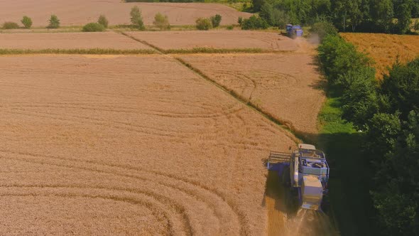 Combine Harvester Harvesting Ripe Wheat