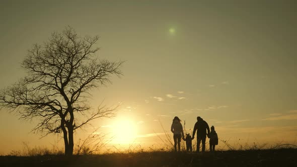 Silhouettes of Happy Family Walking in the Meadow Near a Big Tree During Sunset.