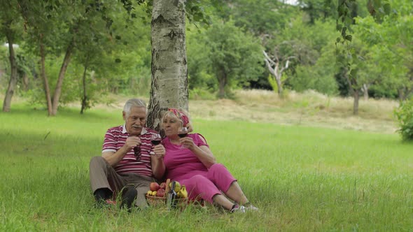 Family Weekend Picnic in Park. Senior Old Couple Sit Near Tree, Eating Fruits, Drinking Wine