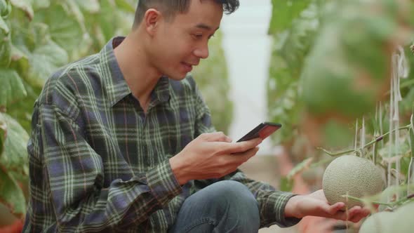 Asian Farmer Use Mobile Phone Taking Photo Of Melon In Greenhouse Melon Farm